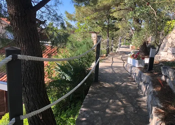 Durdica * 프리모스턴