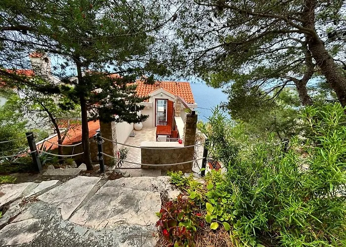 Durdica * 프리모스턴